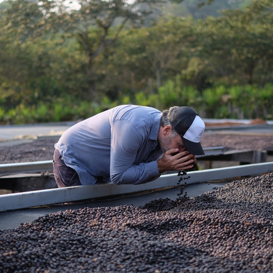 CHRISTMAS COFFEE 2025