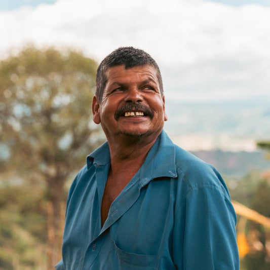 FINCA EL FALDON CATURRA