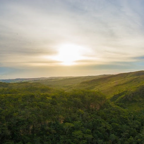 DATERRA RESERVE LOW CAF