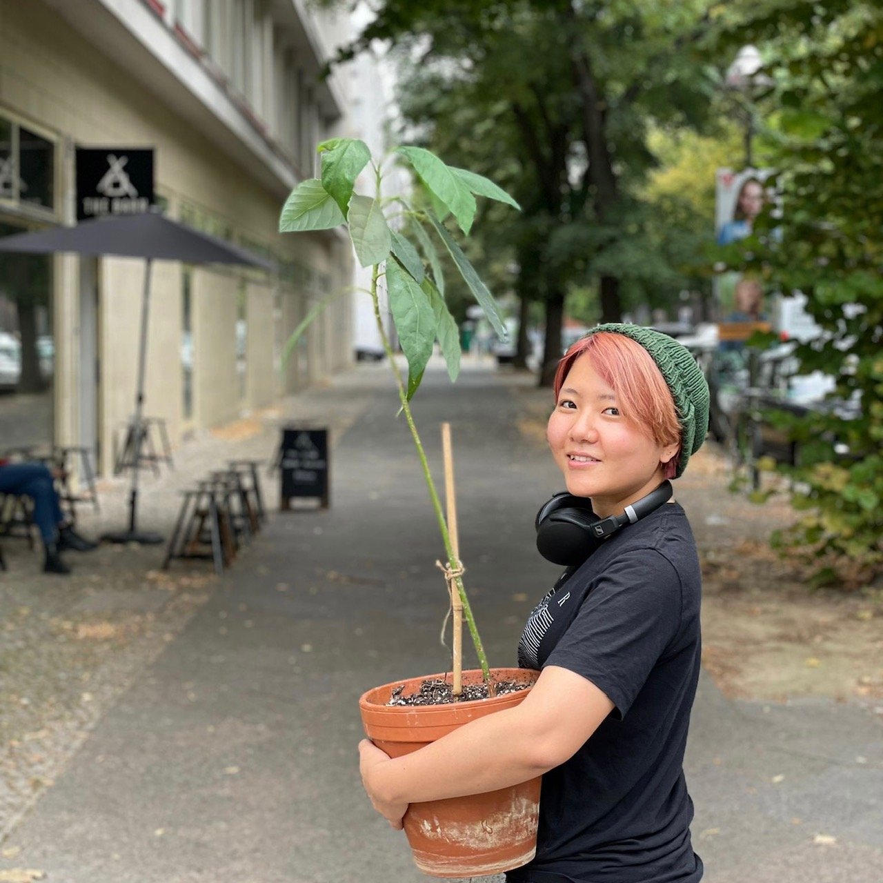 Plant a Tree
