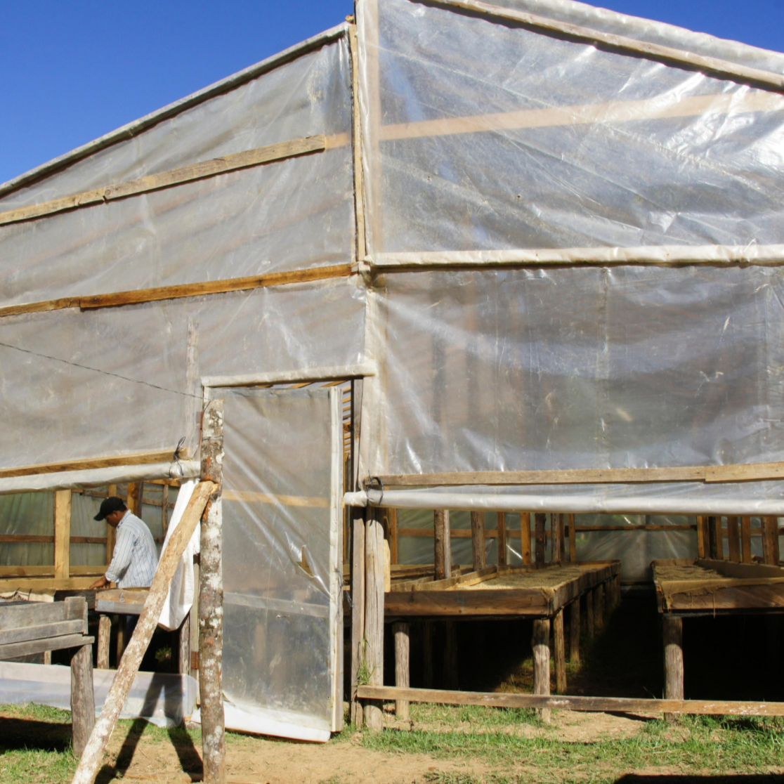 BOMBA DE FRUTA (7989132099851)