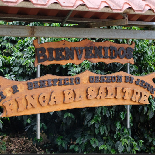 EL SALITRE