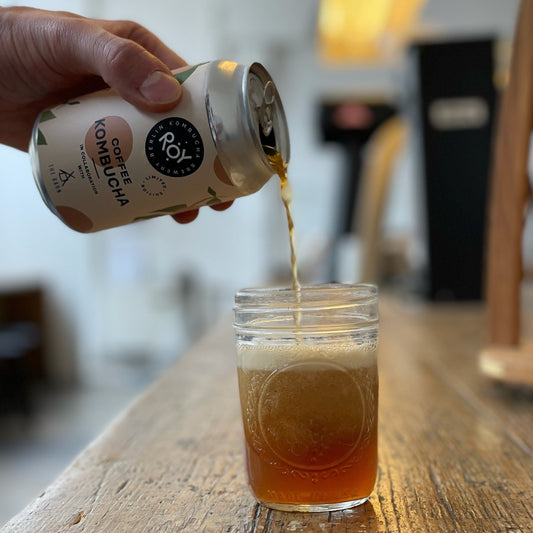 ROY x THE BARN COFFEE KOMBUCHA
